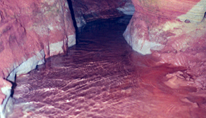 Projekts WaterAct