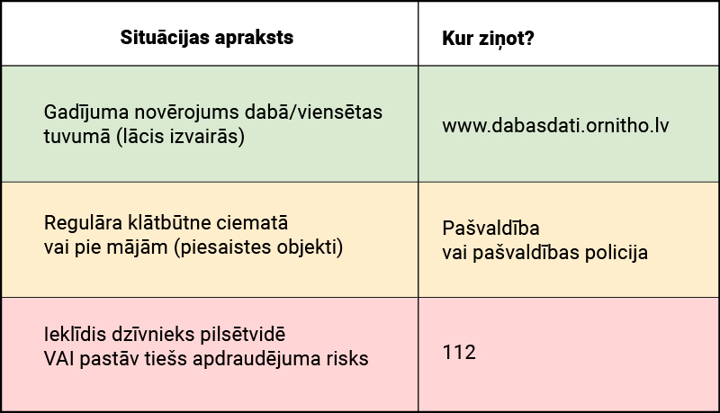 Ziņošanas kanālu kopsavilkums
