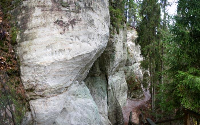 Sietiņiezis