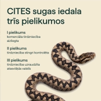 Teksts - CITES sugas iedala trīs pielikumos. Čūskas attēls