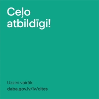 Teksts - Ceļo atbildīgi! Uzzini vairāk: daba.gov.lv/lv/cites