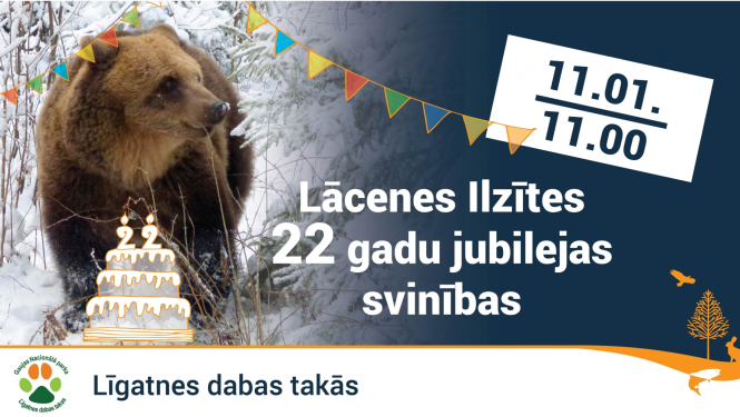 Lācene Ilzīte