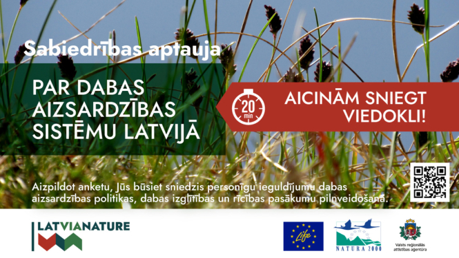 Aptaujas afiša