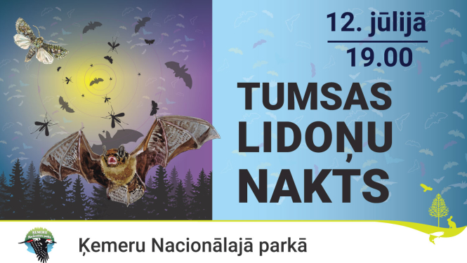 Sikspārnis uz meža fona