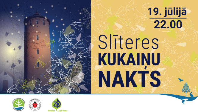 Kukaiņu nakts Slīterē vizuālis