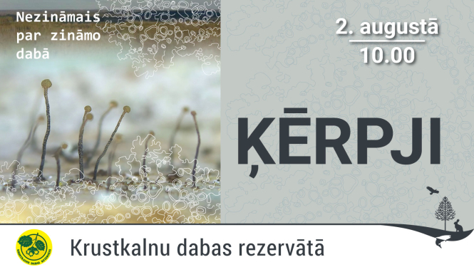Nagliņķērpju attēls