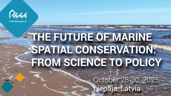 REEF konference
