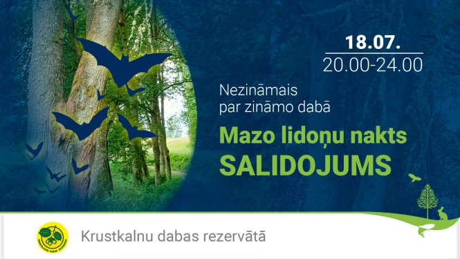 Koki, sikspārņu silueti.