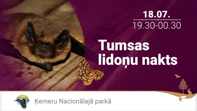 Sikspārnis uz tumši sarkanvioleta fona