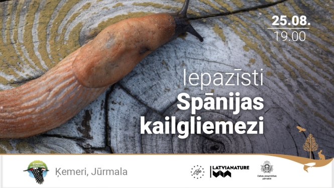 Reklāma pasākumam Iepazīsti Spānijas kailgliemezi