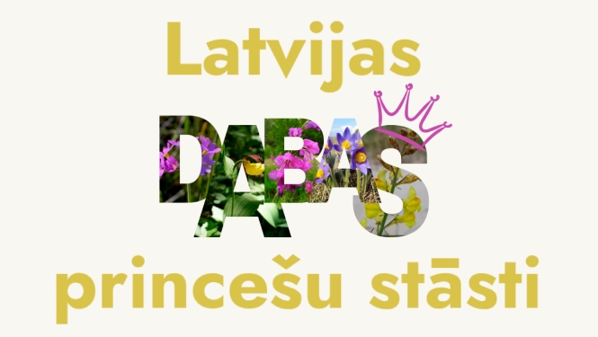 Latvijas princešu stāsti