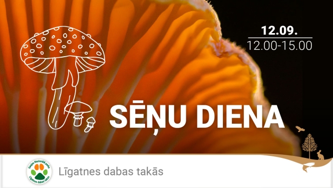 Reklāma Sēņu dienai Līgatnē