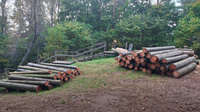 Novāktais Lielā Liepukalna skatu tornis