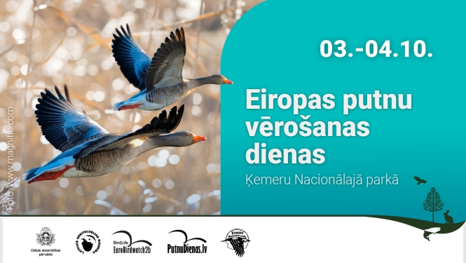 Eiropas putnu vērošanas dienu reklāma