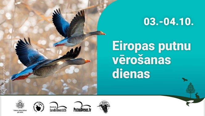 Eiropas putnu vērošanas dienu reklāma