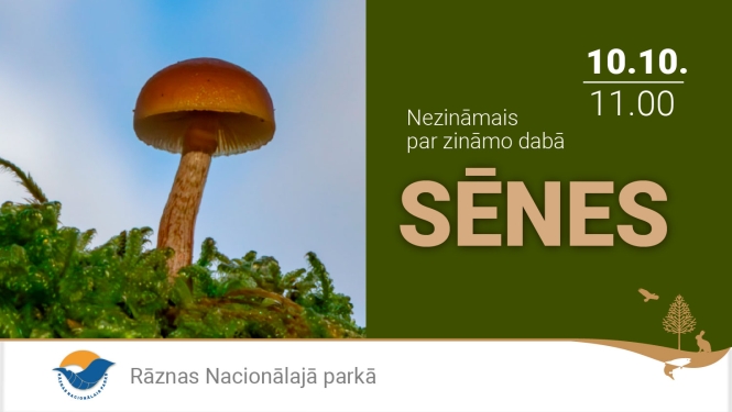 Sēņu diena Rāznas Nacionālajā parkā