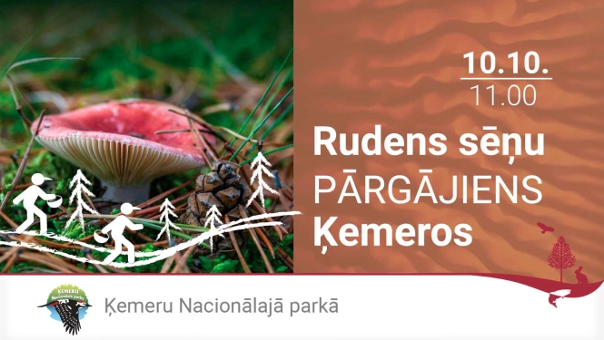 Sēņu diena Ķemeru Nacionālajā parkā