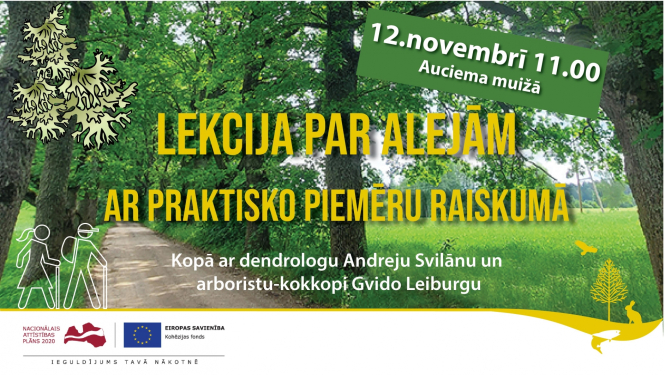 Lekcija par alejām