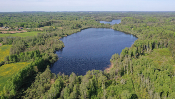 Dabas liegums KLAUCĀNU un PRIEKULĀNU EZERI. Foto: Juris Soms