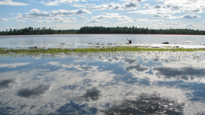 Kaņieris