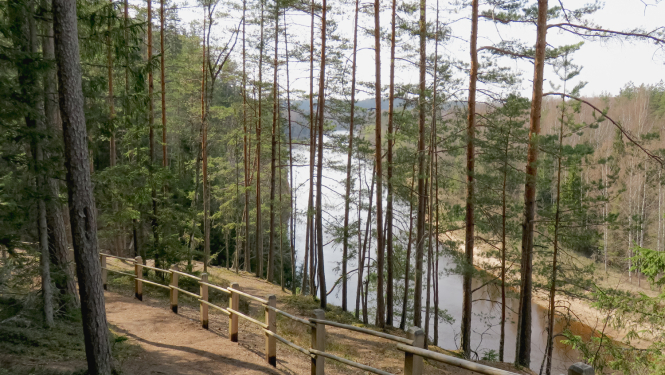 GNP mežs