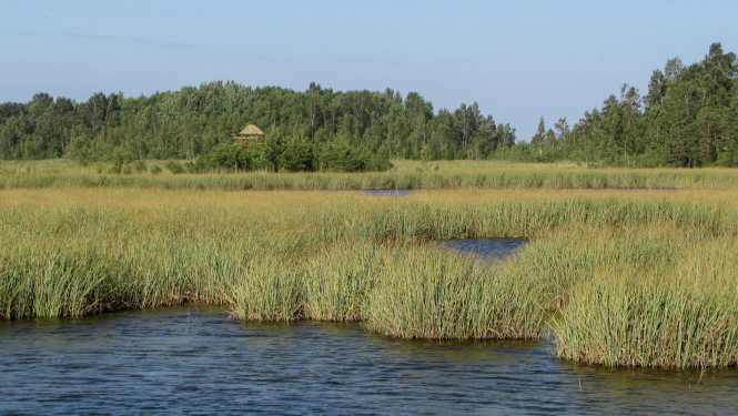 Kaņiera ezers