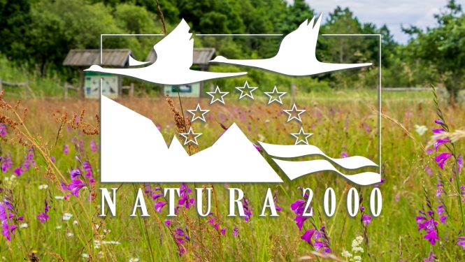 Pļava ar ziedošām jumstiņu gladiolām, priekšplānā Natura 2000 logo.