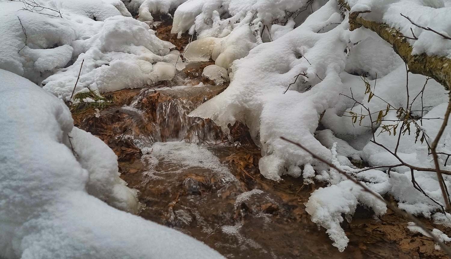 Kaļļu avoti ziemā. Foto Fanija Šitca