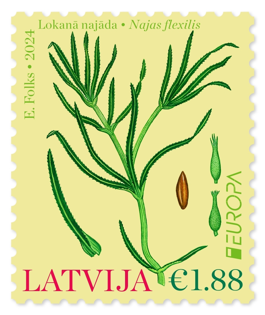 Pastmarka - Lokanā najāda (2024)