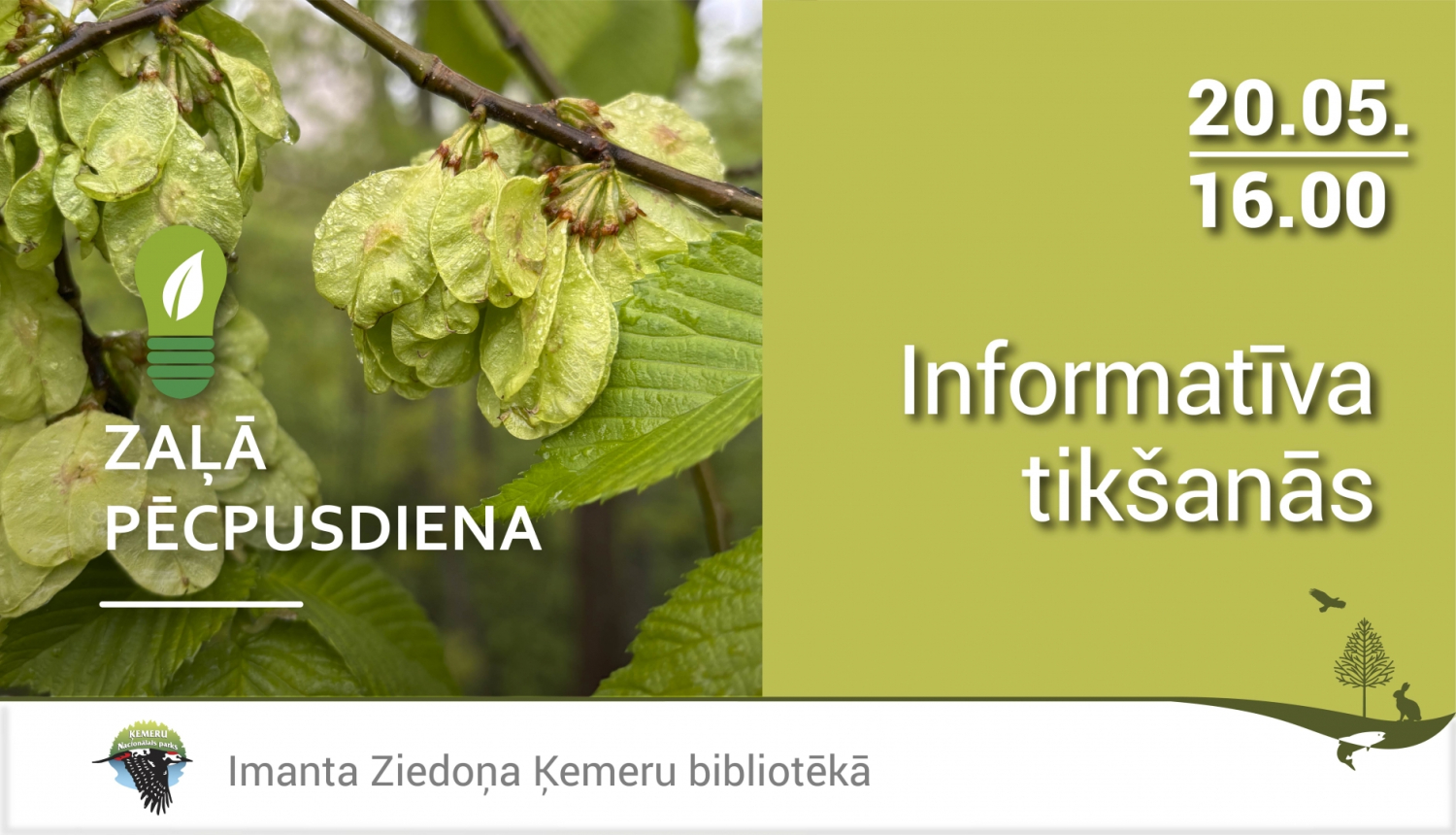 Zaļā pēcpusdiena