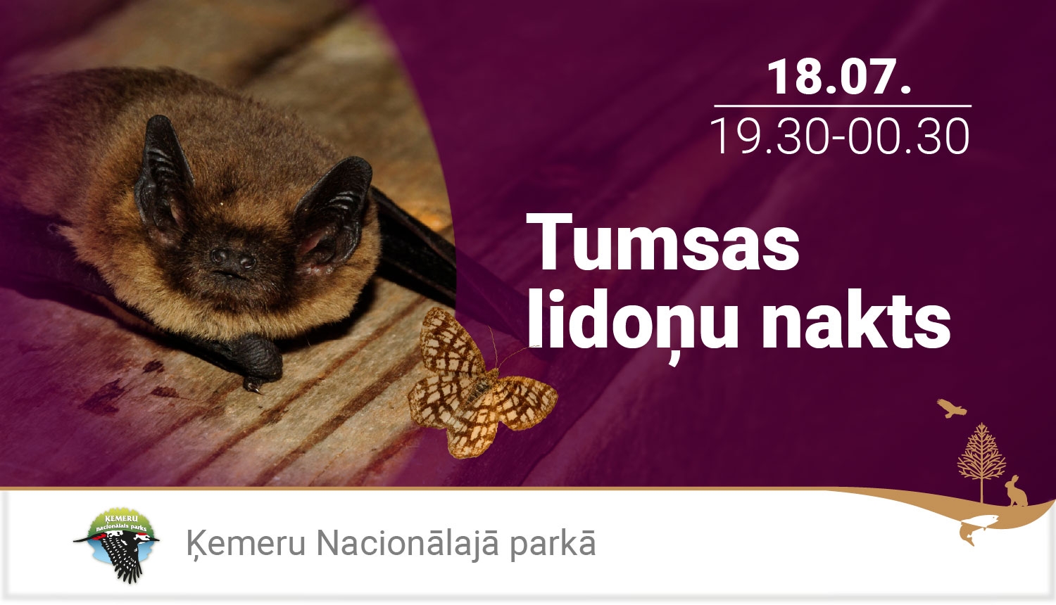 Sikspārnis uz tumši sarkanvioleta fona