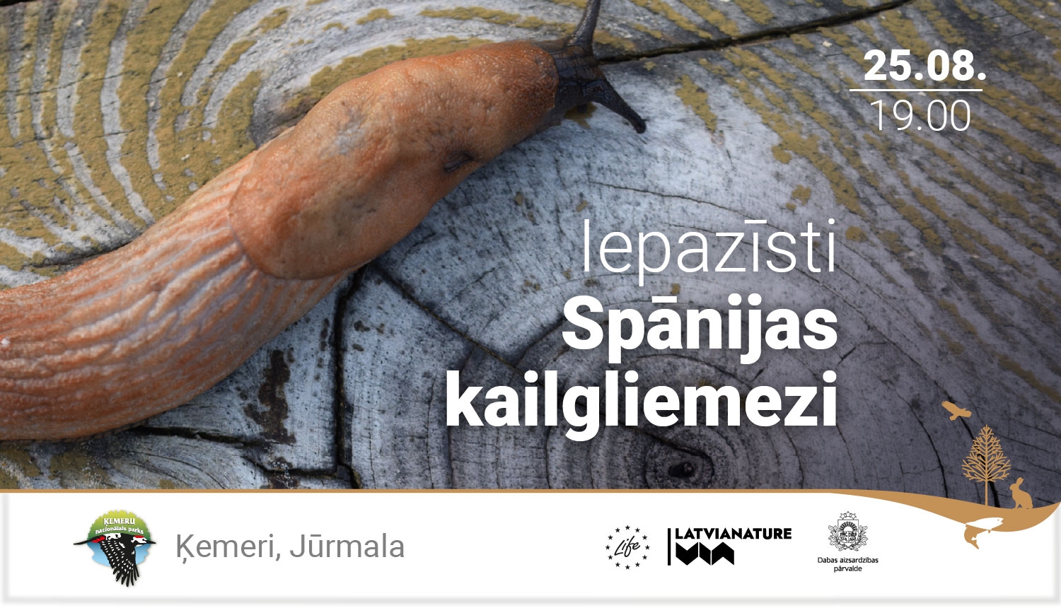 Reklāma pasākumam Iepazīsti Spānijas kailgliemezi
