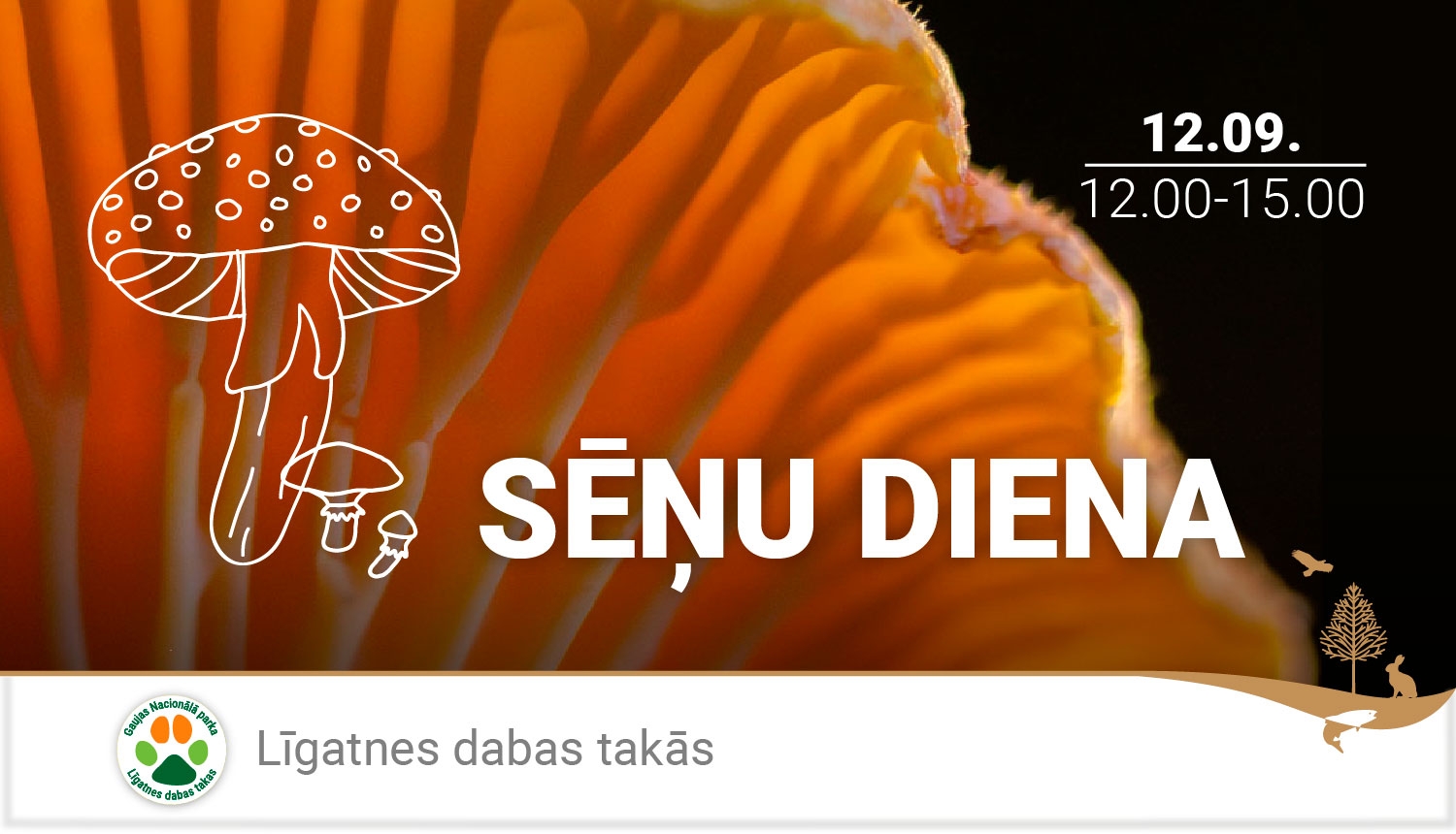 Reklāma Sēņu dienai Līgatnē