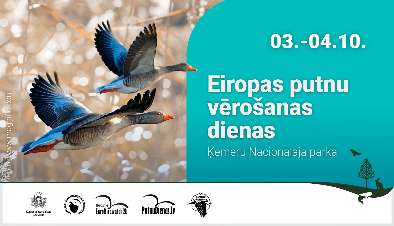 Eiropas putnu vērošanas dienu reklāma