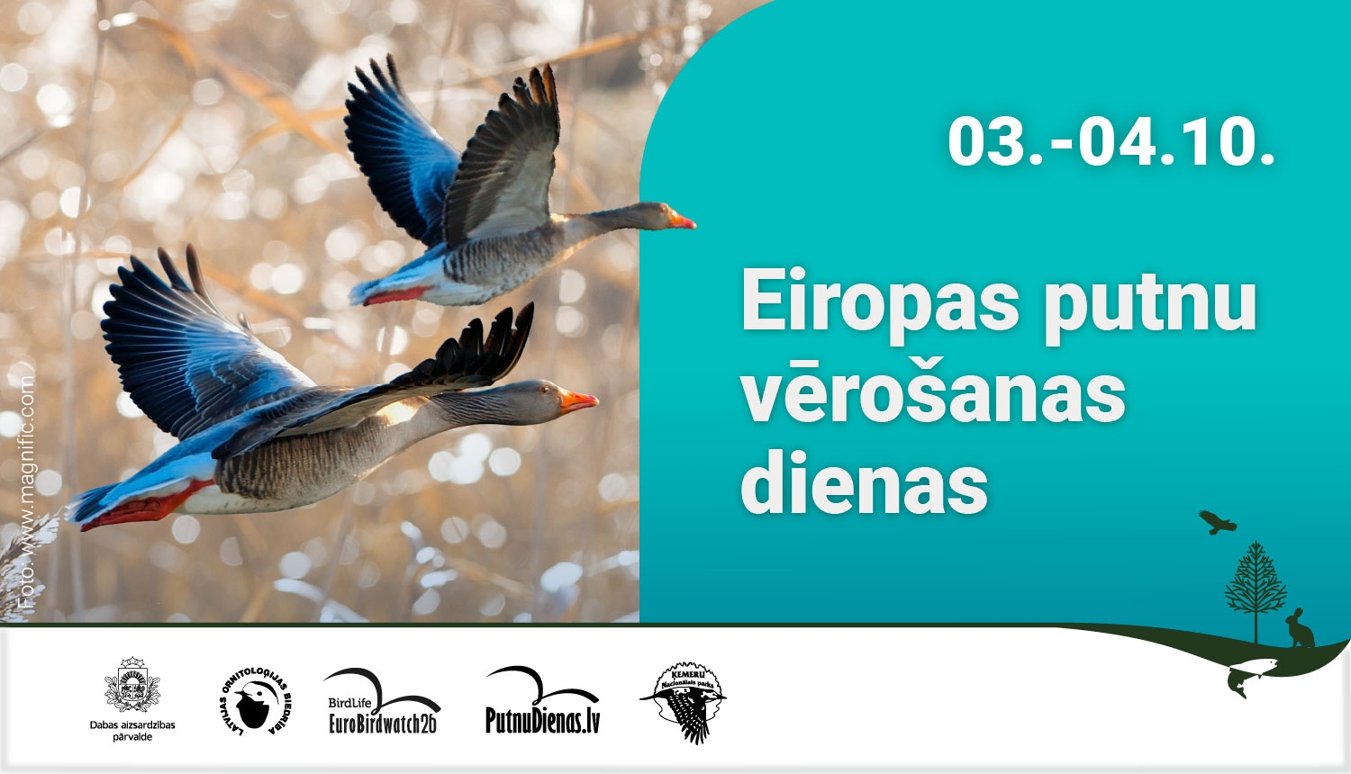 Eiropas putnu vērošanas dienu reklāma