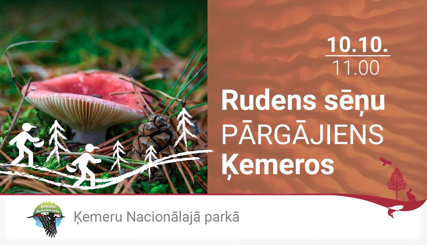 Sēņu diena Ķemeru Nacionālajā parkā