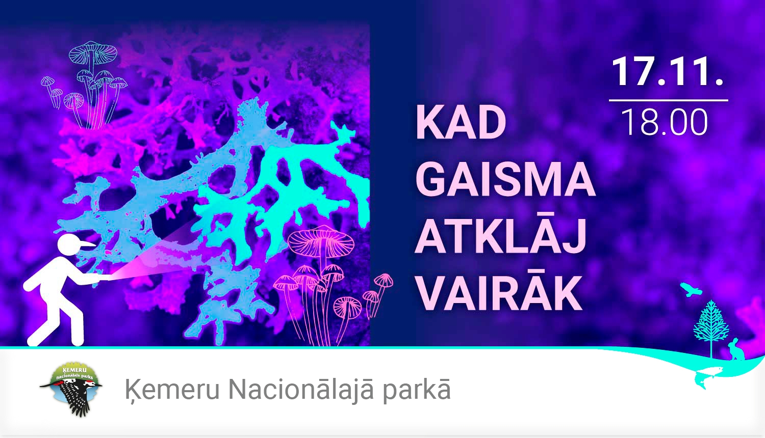 Reklāma pārgājienam Ķemeru Nacionālajā parkā