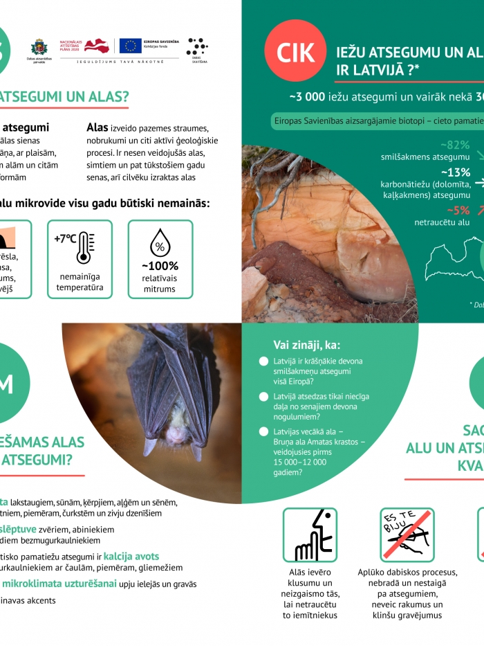 Dabas skaitīšanas rezultāti - alas un atsegumi