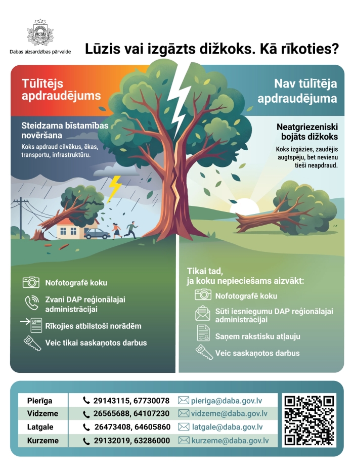 Lūzis vai izgāzies dižkoks. Kā rīkoties?