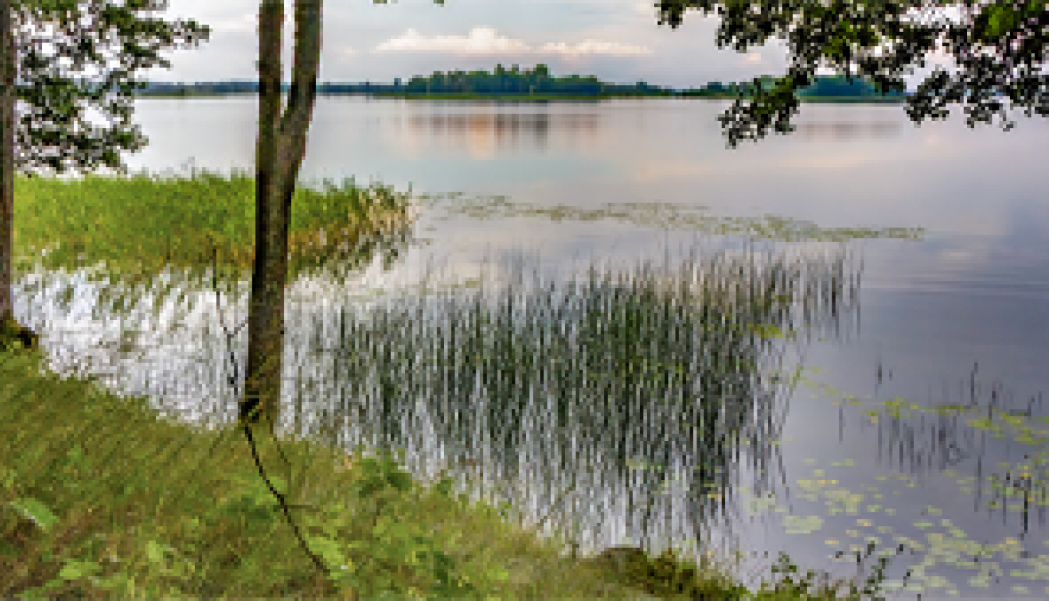 Rāznas ezers rāmā vasaras novakarē pēc lietus.