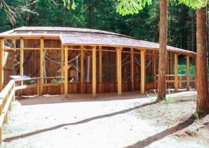 Vāveru jaunā māja