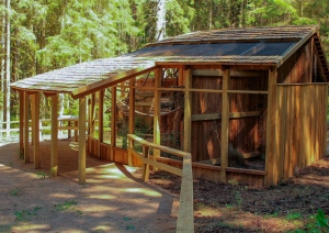 Vāveru jaunā māja