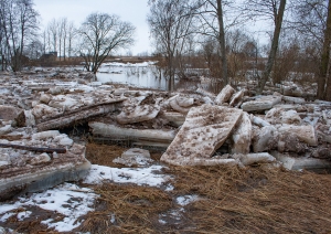Jaunupes ieteka Salacā. 2010. Foto: Andris Soms