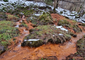Dāvida dzirnavu avoti. Foto Fanija Šitca