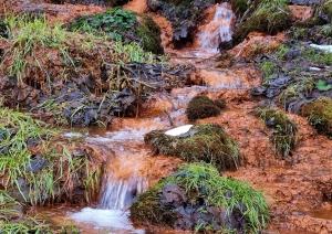  Dāvida dzirnavu avoti. Foto Fanija Šitca