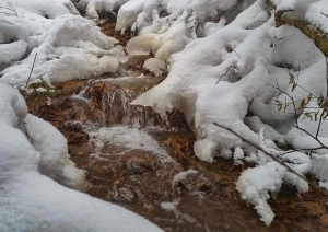 Kaļļu avoti ziemā. Foto Fanija Šitca