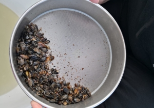 Projekts LIFE REEF jūras izpētes darbi.
