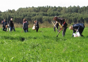 Projekts LIFE IP “LatViaNature”. Bioloģiski vērtīgas pļavas atjaunošana