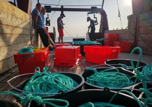 Projekts LIFE REEF. Baltijas jūras rifu izpēte. Foto DAP.