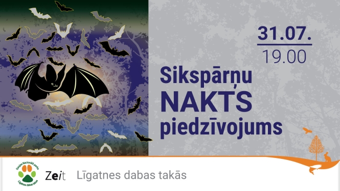Sikspārņu silueti uz tumša fona. Sikspārņu nakts piedzīvojums. 31.07. plkst 19.00